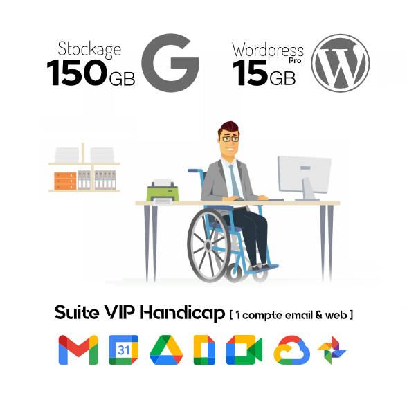 01_VIP_Handicap_x588